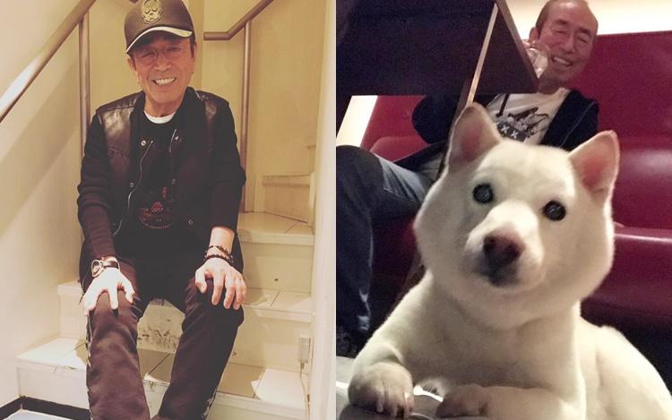 主人離世一度不吃不喝志村健愛犬病逝 星島日報 主人離世一度不吃不喝志村健愛犬病逝 星島日報